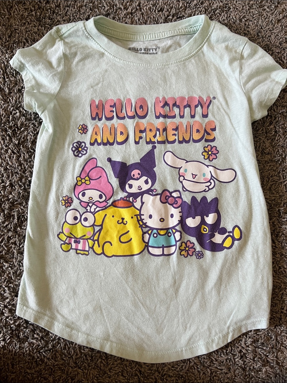 Hello Kitty and Friends Tshirt